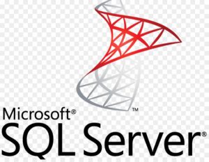 larger sql server logo